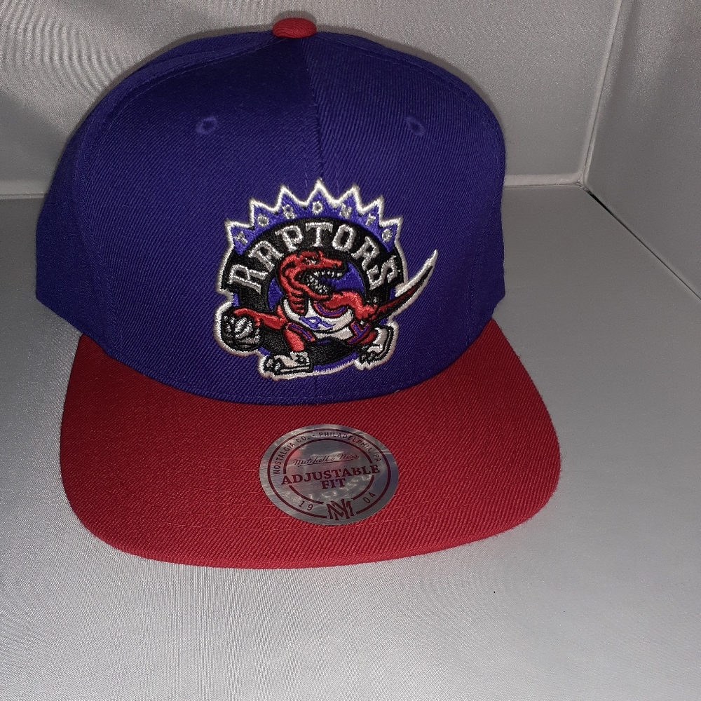 Toronto Raptors Snapback
